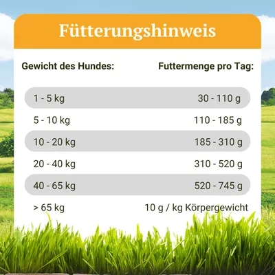 Bellfor Trockenfutter mit Insekten - Naturfarm-Schmaus Bellfor Trockenfutter mit Insekten - Naturfarm-Schmaus