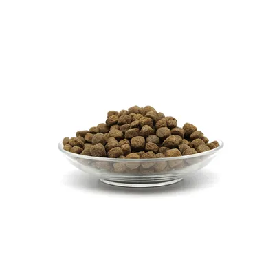 Bellfor Trockenfutter mit Insekten - Naturfarm-Schmaus Bellfor Trockenfutter mit Insekten - Naturfarm-Schmaus