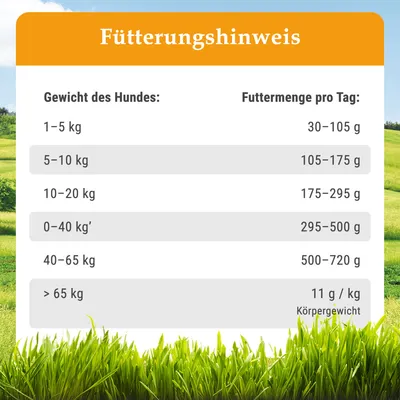 Bellfor Futterset mit kaltgepresstem Trockenfutter für große Hunderassen Bellfor Futterset mit kaltgepresstem Trockenfutter für große Hunderassen