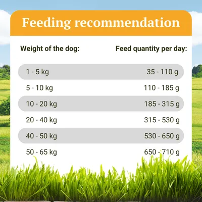 Bellfor Trockenfutter für Hunde mit Huhn - Freiland-Schmaus Bellfor Trockenfutter für Hunde mit Huhn - Freiland-Schmaus