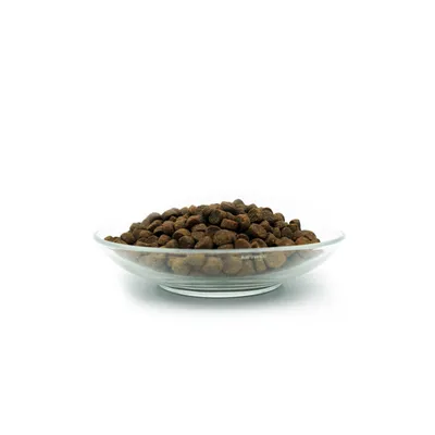 Bellfor Hundefutter für Welpen - PREMIUM PUR Kids