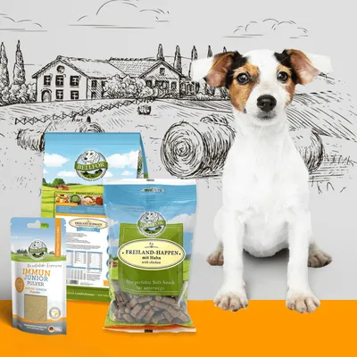 Bellfor Pack alimentaire pour chiots de petites races : croquettes