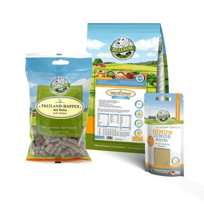 Bellfor Pack alimentaire pour chiots de petites races : croquettes