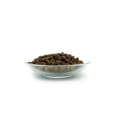 Bellfor Hundefutter für Welpen - PREMIUM PUR Kids