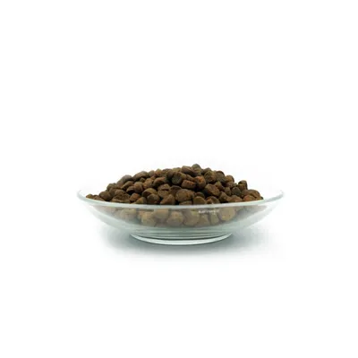 Bellfor Hundefutter für Welpen - PREMIUM PUR Kids Bellfor Hundefutter für Welpen - PREMIUM PUR Kids