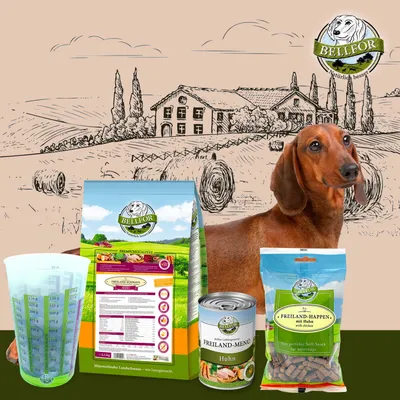 Bellfor Dackel Futter Set Bellfor Dackel Futter Set