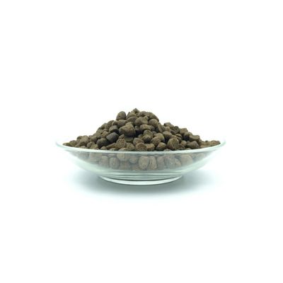 Bellfor Set alimentaire pour Bichon havanais