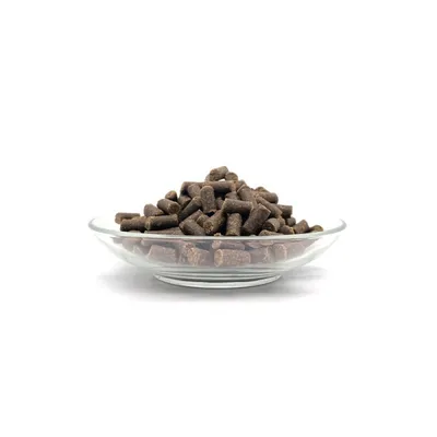Bellfor Havaneser Futter Set Bellfor Havaneser Futter Set