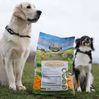 Bellfor Trockenfutter für Hunde mit Huhn, Truthahn und Entenfleisch Bellfor Trockenfutter für Hunde mit Huhn, Truthahn und Entenfleisch