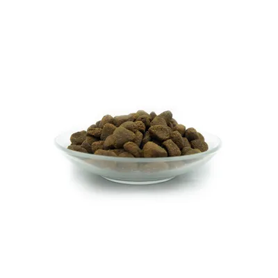 Bellfor Trockenfutter für Hunde mit Huhn, Truthahn und Entenfleisch Bellfor Trockenfutter für Hunde mit Huhn, Truthahn und Entenfleisch
