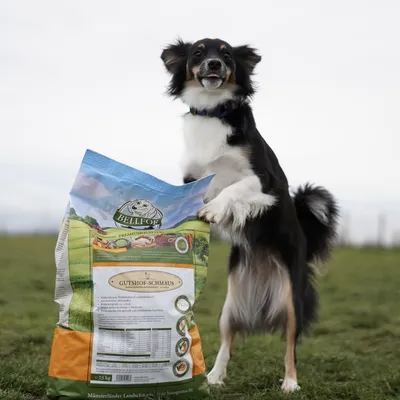 Bellfor Trockenfutter für Hunde mit Huhn, Truthahn und Entenfleisch Bellfor Trockenfutter für Hunde mit Huhn, Truthahn und Entenfleisch