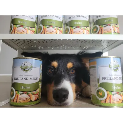 Bellfor Freiland-Menü Bellfor Freiland-Menü