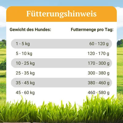 Bellfor Trockenfutter mit Weidelamm und Wildkaninchen - Heide-Schmaus Bellfor Trockenfutter mit Weidelamm und Wildkaninchen - Heide-Schmaus