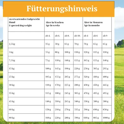 Bellfor Trockenfutter mit Insekten - Landgut-Schmaus Junior Bellfor Trockenfutter mit Insekten - Landgut-Schmaus Junior