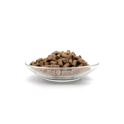 Bellfor Pudel Futter Set Bellfor Pudel Futter Set