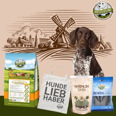 Bellfor Deutsch Kurzhaar Futter Set