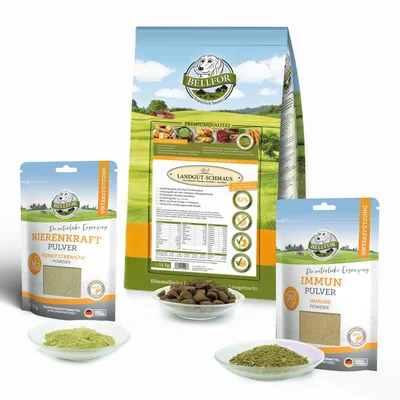 Bellfor Pack éco n° 7 - Landgut-Schmaus + poudre Nierenkraft