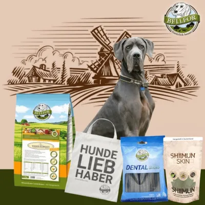 Bellfor Deutsche Doggen Futter Set