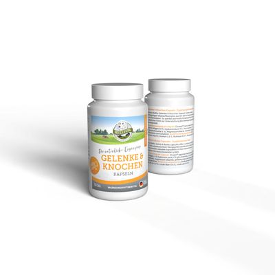 Bellfor Berner Sennenhund Futter Set