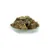 Bellfor Berner Sennenhund Futter Set