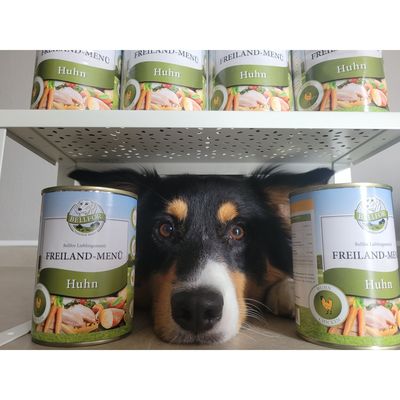 Bellfor Freiland-Menü
