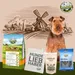 Bellfor Airedale Terrier Futter Set