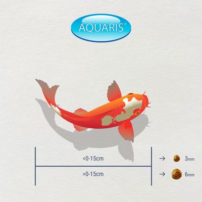 KI-JA-KO Health Koifischfutter