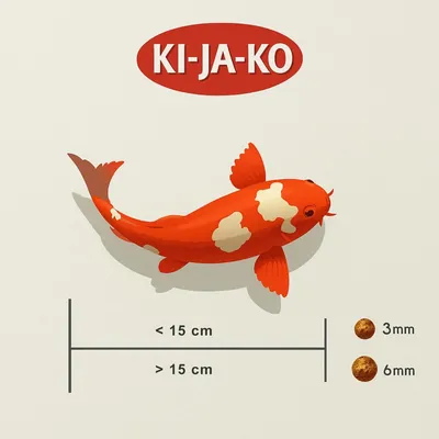 KI-JA-KO Koifischfutter Color KI-JA-KO Koifischfutter Color