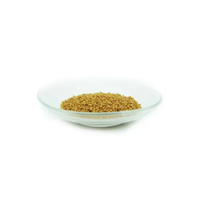 AQUARIS Cichlid Sticks - Aquarium Fischfutter