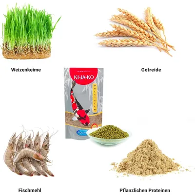 KI-JA-KO Koifischfutter Wheatgerm