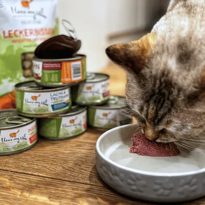 I love my cat Katzenfutter Nass mit Insekten