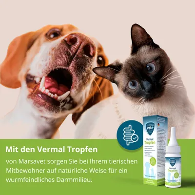 I love my cat Vermal Set für Katzen mit Marsavet Vermal Tropfen I love my cat Vermal Set für Katzen mit Marsavet Vermal Tropfen