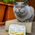 I love my cat Pâté aux insectes avec topping de potiron I love my cat Pâté aux insectes avec topping de potiron