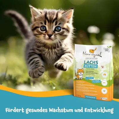 I love my cat Getreidefreies Trockenfutter für Kitten mit Lachs I love my cat Getreidefreies Trockenfutter für Kitten mit Lachs