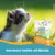 I love my cat Getreidefreies Trockenfutter für Kitten mit Lachs I love my cat Getreidefreies Trockenfutter für Kitten mit Lachs