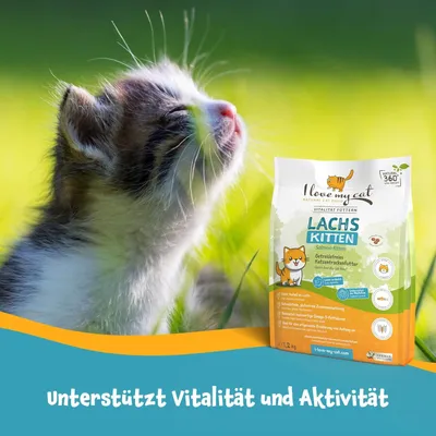 I love my cat Getreidefreies Trockenfutter für Kitten mit Lachs I love my cat Getreidefreies Trockenfutter für Kitten mit Lachs