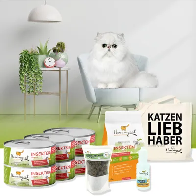I love my cat Sparset für Perserkatze I love my cat Sparset für Perserkatze