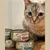I love my cat pâtée pour chat au poulet I love my cat pâtée pour chat au poulet