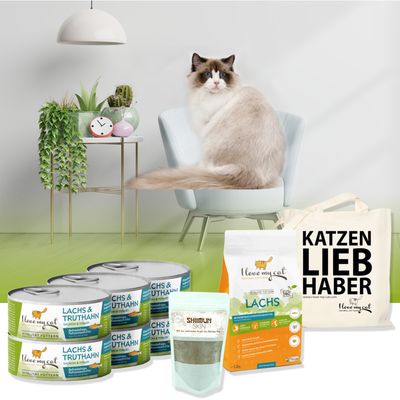 I love my cat Sparset für Ragdoll
