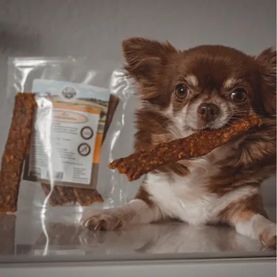 Bellfor Hundesnack Hühner Trockenfleisch