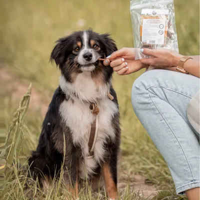 Bellfor Hundesnack Hühner Trockenfleisch