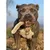 Bellfor Hundesnack Kaninchenohren Bellfor Hundesnack Kaninchenohren