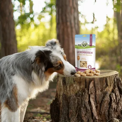 Bellfor Freeze-Snack für Hunde mit Insekten mit Karotte