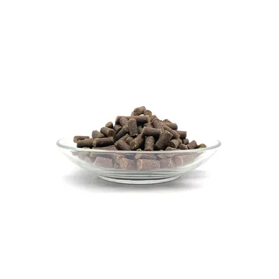 Bellfor Hypoallergenes Snack-Set: Landgut-Happen + Leckerbissen Insekten
