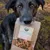 Bellfor Leckerbissen für Hunde mit Lachsfilet