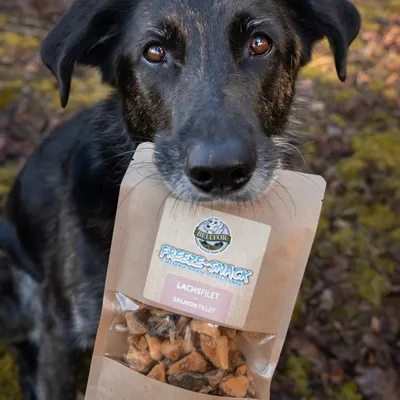 Bellfor Leckerbissen für Hunde mit Lachsfilet