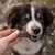 Bellfor Hundesnack - Fleischstreifen Wildschwein