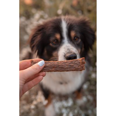 Bellfor friandise pour chien - lanières de viande d'agneau