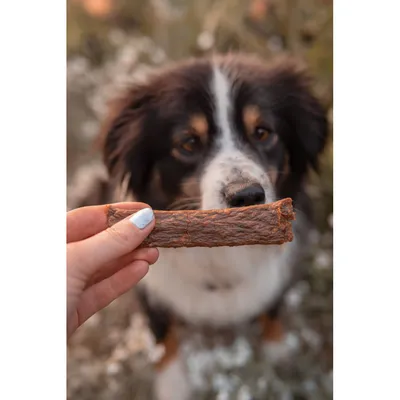 Bellfor Hundesnack - Fleischstreifen Lamm