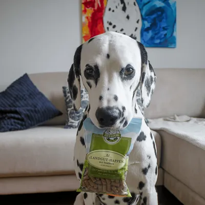 Bellfor Soft Snacks für Hunde mit Insekten - Landgut-Happen